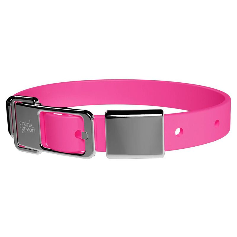 frank green Pet Collar + Name Tag - Medium image number 0